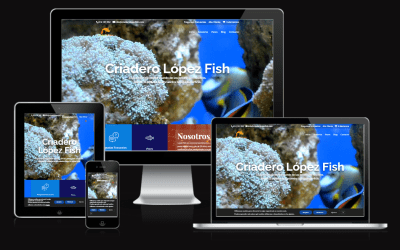 Estrenamos Nuestra Web